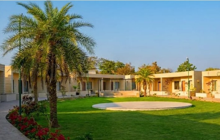 Eye Shape Lawn